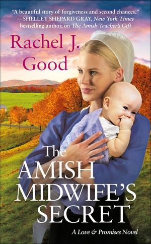 The Amish Midwife's Secret