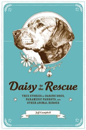 Buy Daisy to Rescue at Amazon