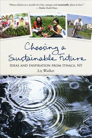 Buy Choosing a Sustainable Future at Amazon
