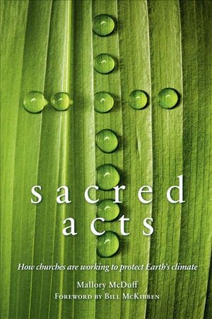 Buy Sacred Acts at Amazon