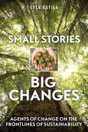 Buy Small Stories, Big Changes at Amazon