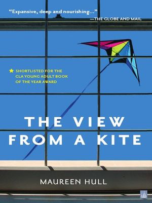 Buy The View From a Kite at Amazon