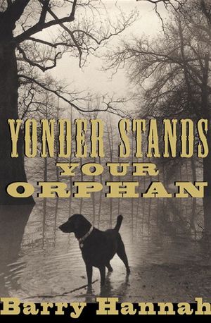 Buy Yonder Stands Your Orphan at Amazon