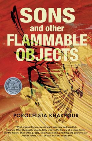 Buy Sons and Other Flammable Objects at Amazon