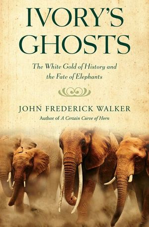 Buy Ivory's Ghosts at Amazon