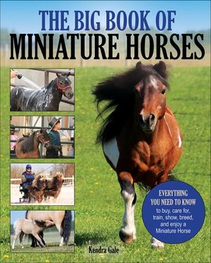 Big Book of Miniature Horses
