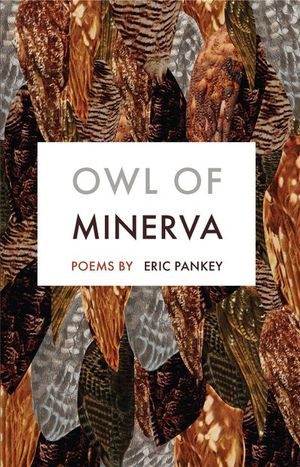 Buy Owl of Minerva at Amazon