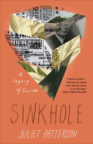 Buy Sinkhole at Amazon