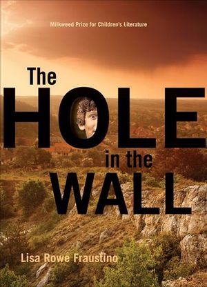 Buy The Hole in the Wall at Amazon