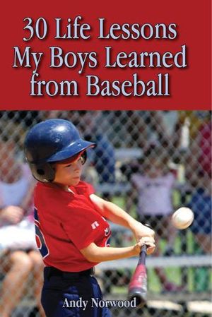 30 Life Lessons My Boys Learned from Baseball