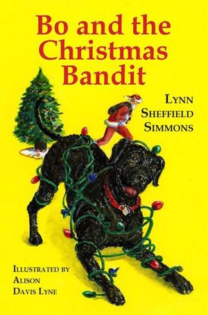 Buy Bo and the Christmas Bandit at Amazon