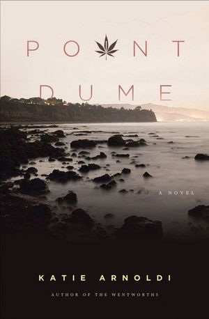 Buy Point Dume at Amazon