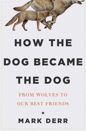Buy How the Dog Became the Dog at Amazon
