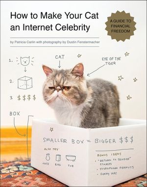 Buy How to Make Your Cat an Internet Celebrity at Amazon