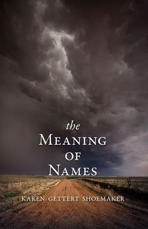 Buy The Meaning of Names at Amazon