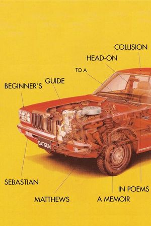 Buy Beginner's Guide to a Head-On Collision at Amazon
