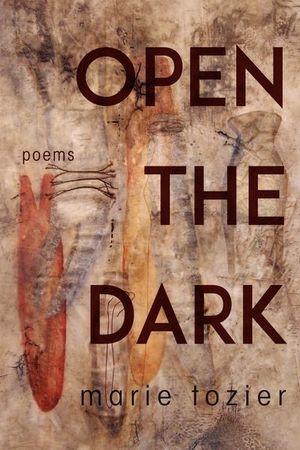 Buy Open the Dark at Amazon