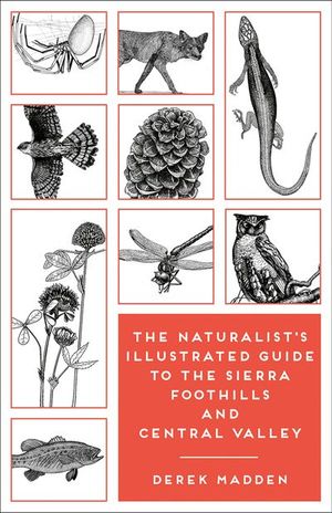 Buy The Naturalist's Illustrated Guide to the Sierra Foothills and Central Valley at Amazon