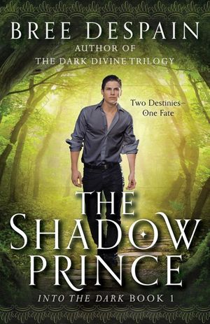 Buy The Shadow Prince at Amazon