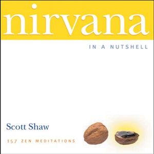 Buy Nirvana in a Nutshell at Amazon