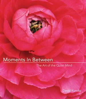 Buy Moments in Between at Amazon
