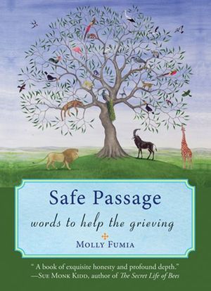 Buy Safe Passage at Amazon