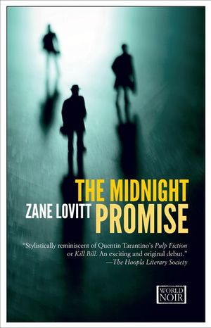 Buy The Midnight Promise at Amazon