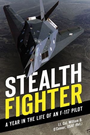 Stealth Fighter