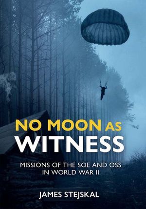 Buy No Moon as Witness at Amazon