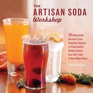 Buy The Artisan Soda Workshop at Amazon