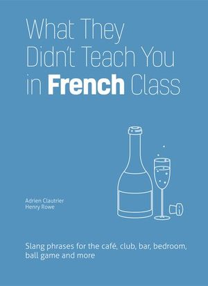 Buy What They Didn't Teach You in French Class at Amazon