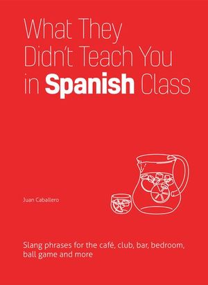 Buy What They Didn't Teach You in Spanish Class at Amazon