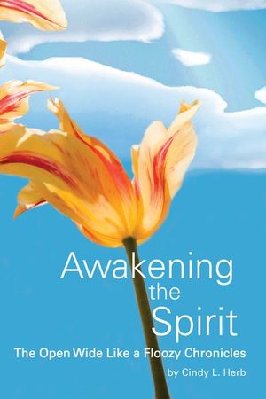Awakening the Spirit