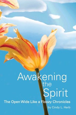 Buy Awakening the Spirit at Amazon