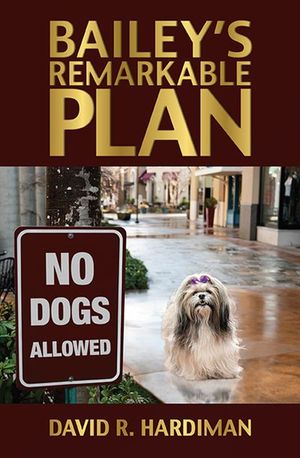 Buy Bailey's Remarkable Plan at Amazon