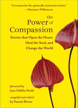 The Power of Compassion