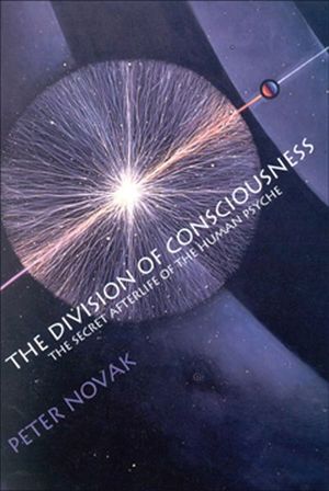 Buy The Division of Consciousness at Amazon