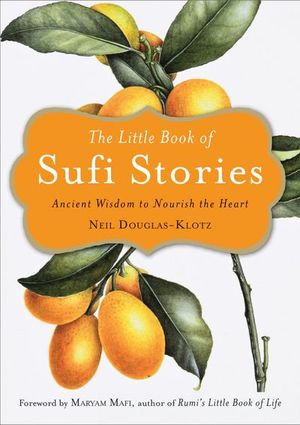 Buy The Little Book of Sufi Stories at Amazon
