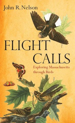 Flight Calls