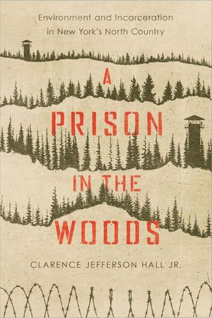 Buy A Prison in the Woods at Amazon