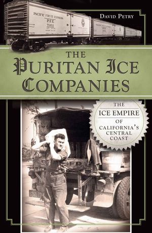 Buy The Puritan Ice Companies at Amazon