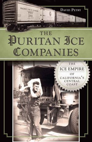 The Puritan Ice Companies