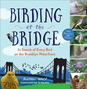 Buy Birding at the Bridge at Amazon