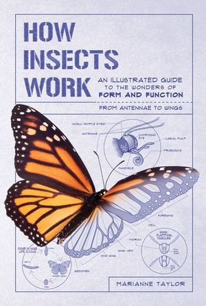 Buy How Insects Work at Amazon