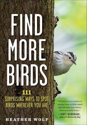 Find More Birds