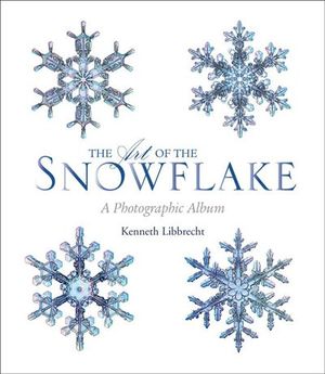 The Art of the Snowflake