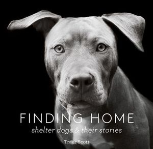 Finding Home