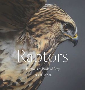 Buy Raptors at Amazon