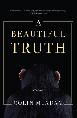 Buy A Beautiful Truth at Amazon