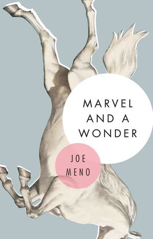 Buy Marvel and a Wonder at Amazon